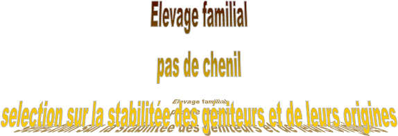 Elevage familial
pas de chenil
selection sur la stabilite des gniteurs et de leurs origines
